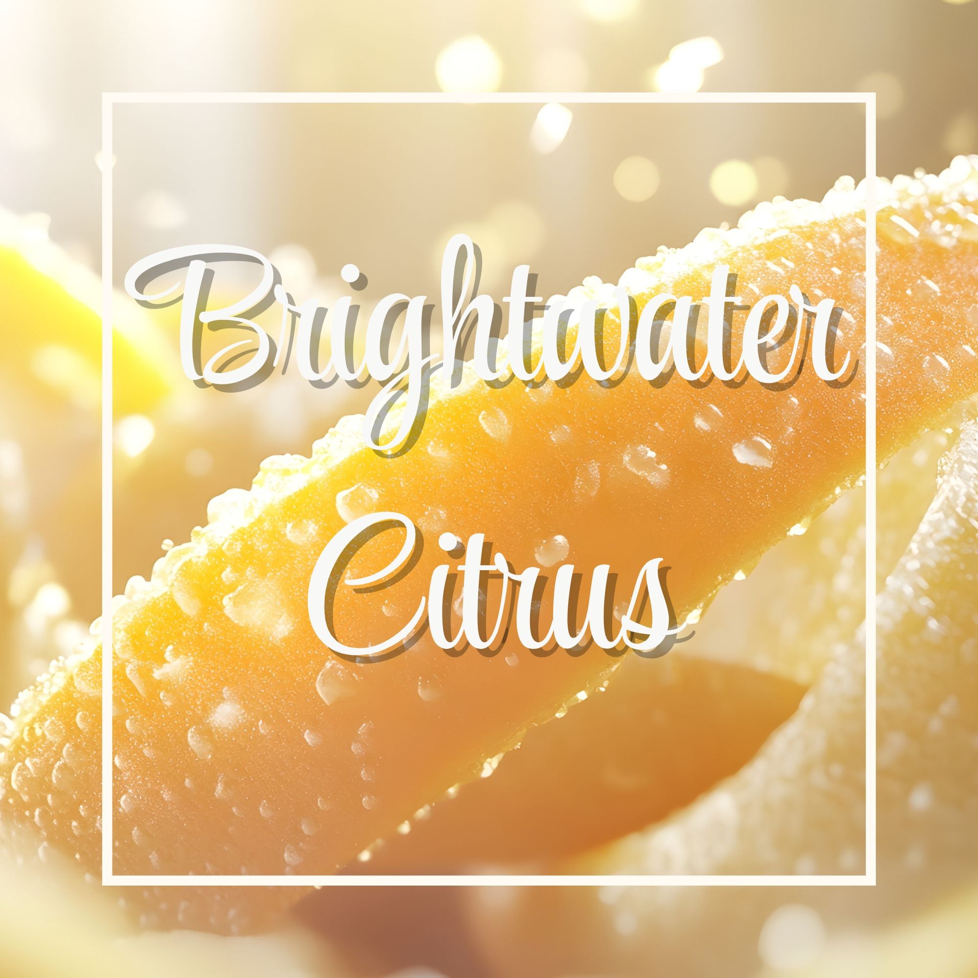 Brightwater Citrus – The Columbia Fragrance Co.