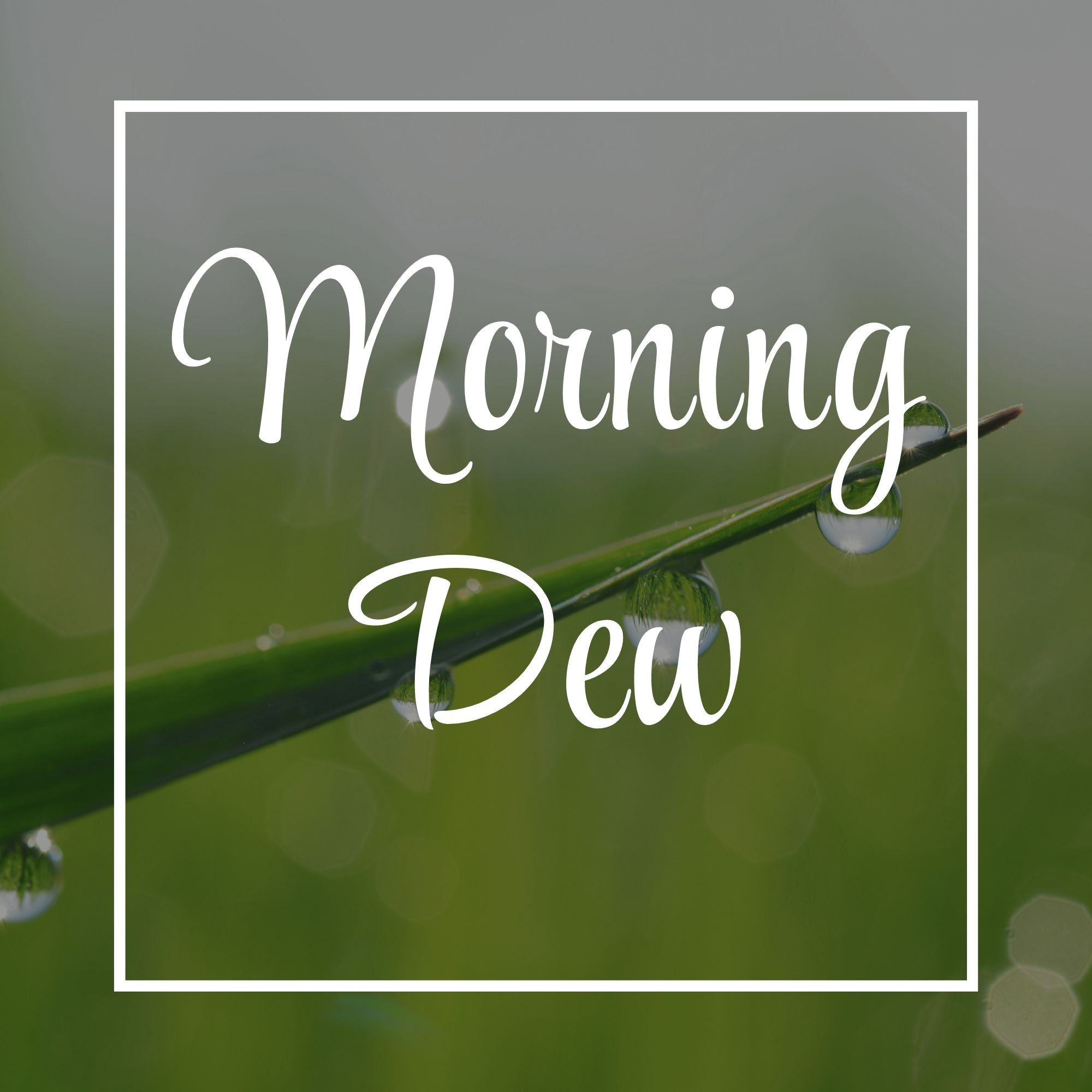 Morning Dew (Rain and Fresh Cut Grass) The Columbia Fragrance Co.