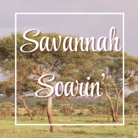 Savannah Soarin'