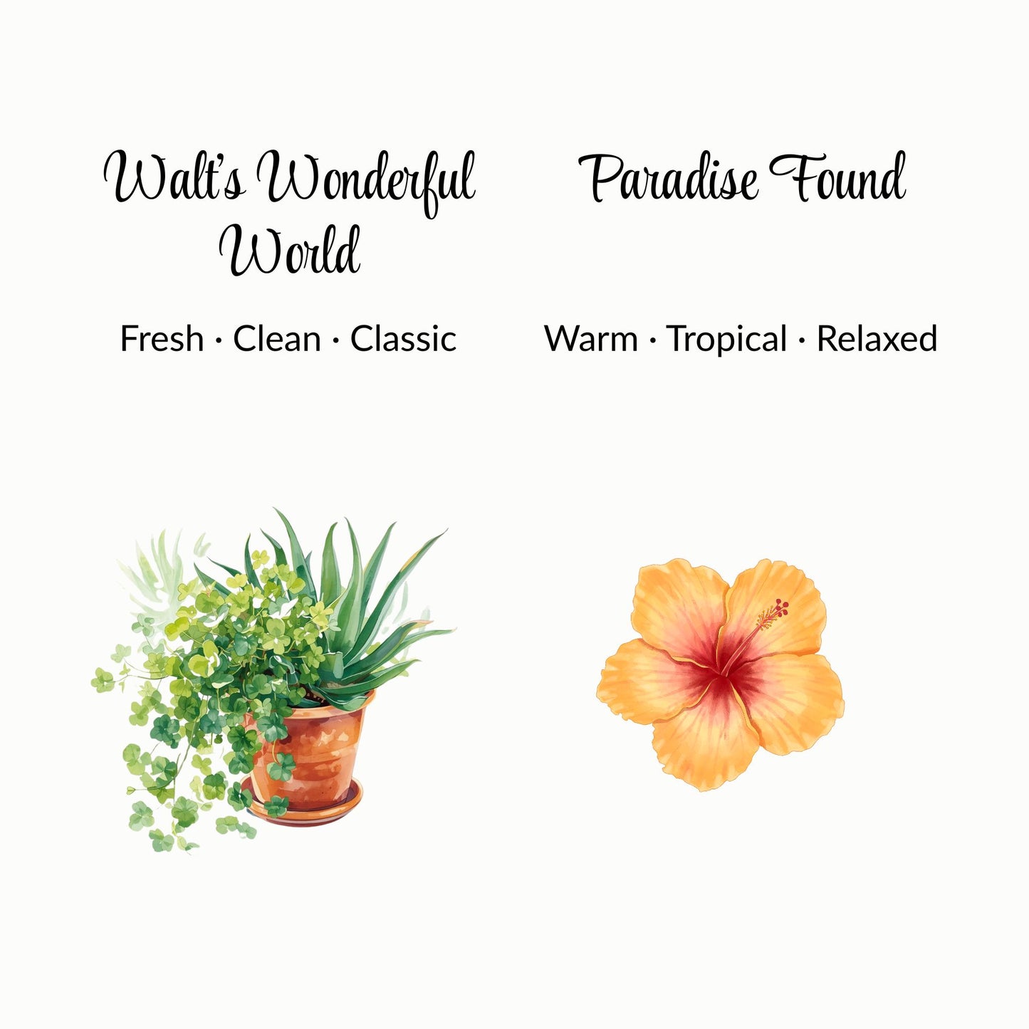 Scent Duo - Walt's Wonderful World and Paradise Found