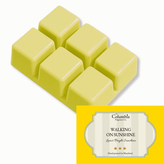 Walking on Sunshine breakaway melts (set of two)