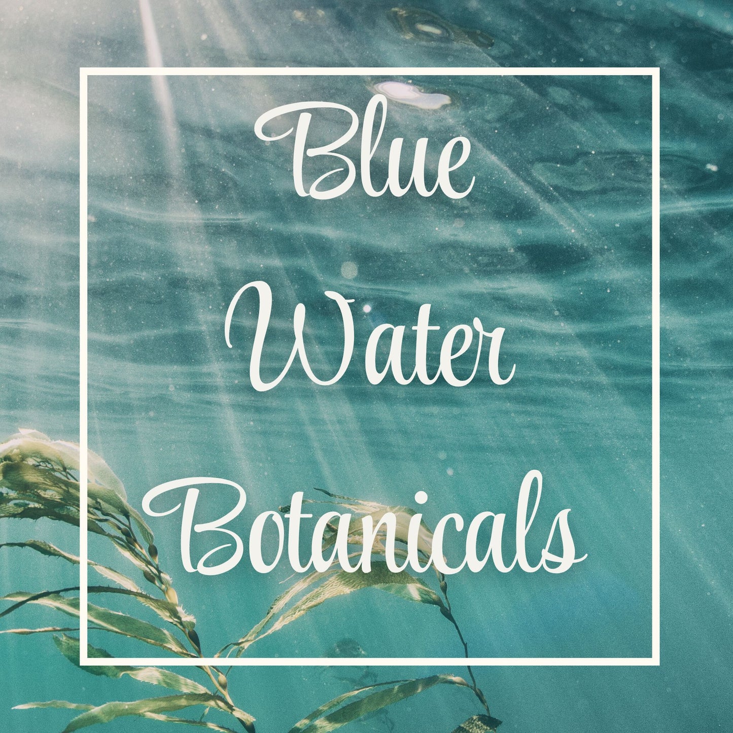 Blue Water Botanicals