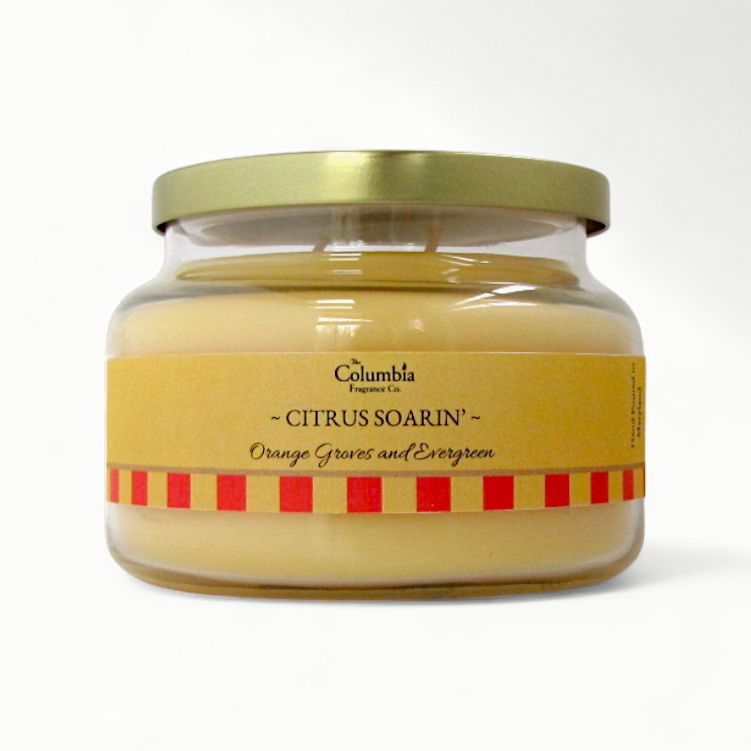 CITRUS SOARIN' Orange and Evergreen park scented candles and home