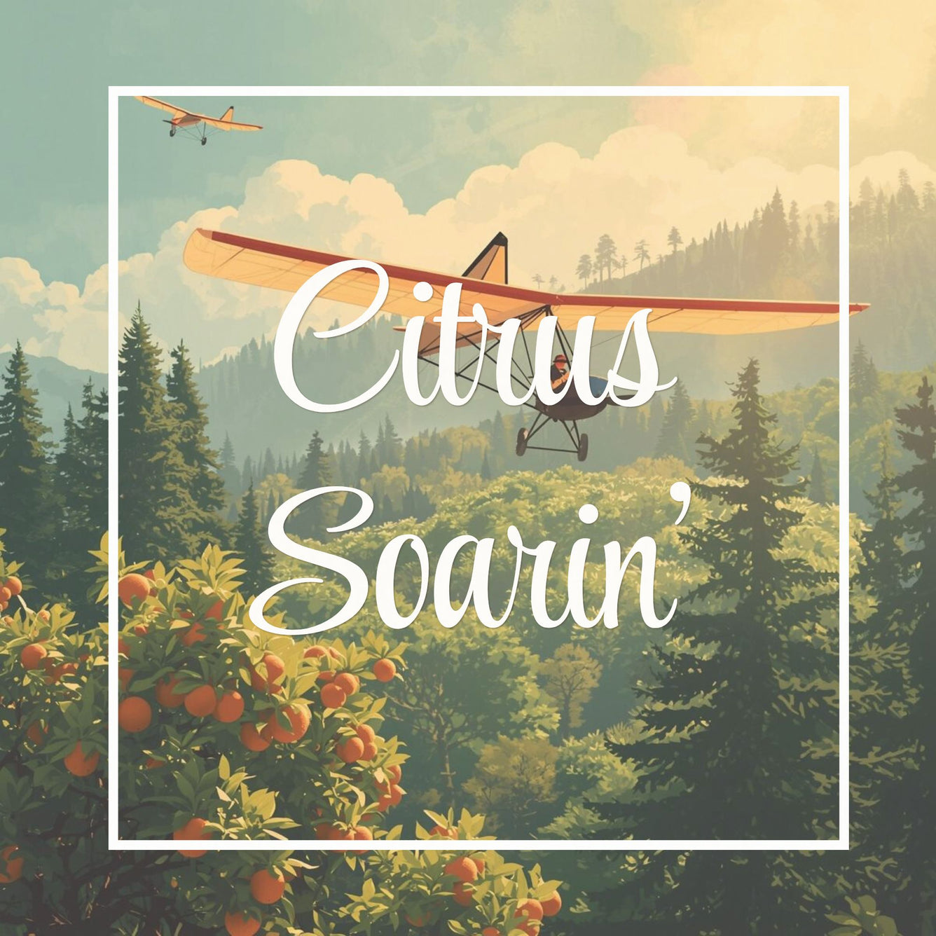 Citrus Soarin'