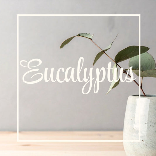 Eucalyptus