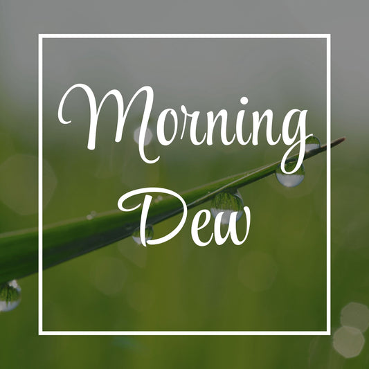 Morning Dew | The Columbia Fragrance Co.