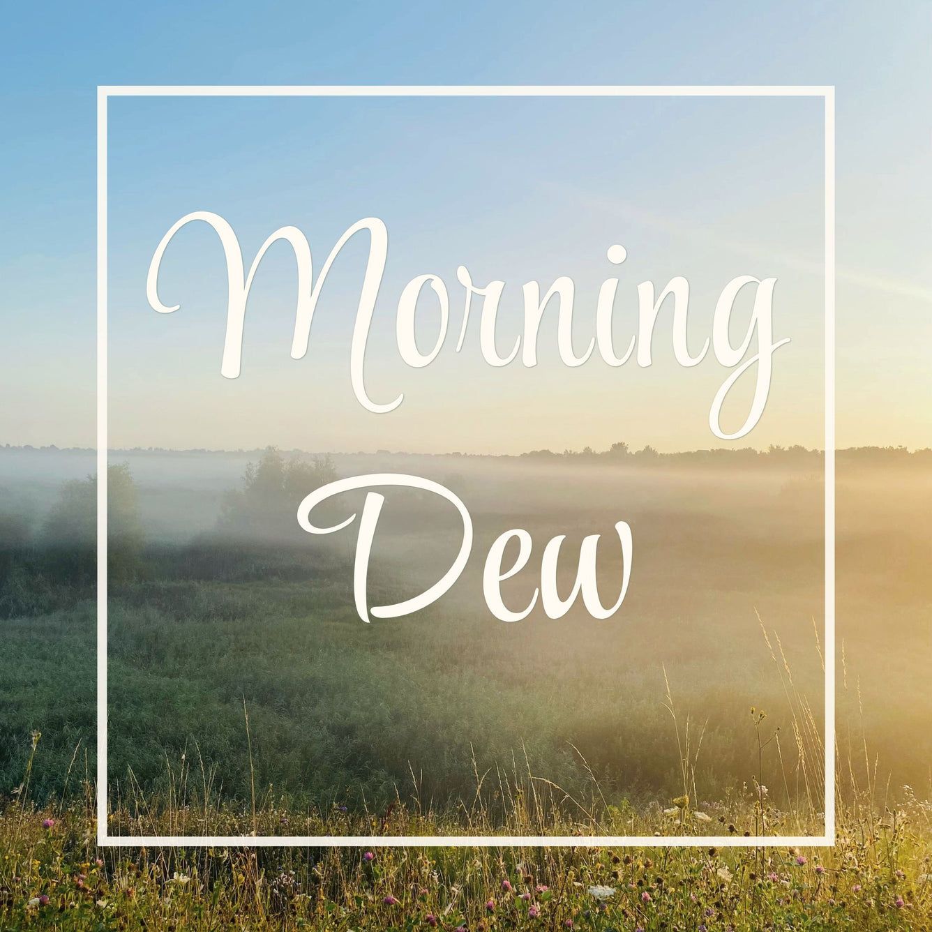Morning Dew