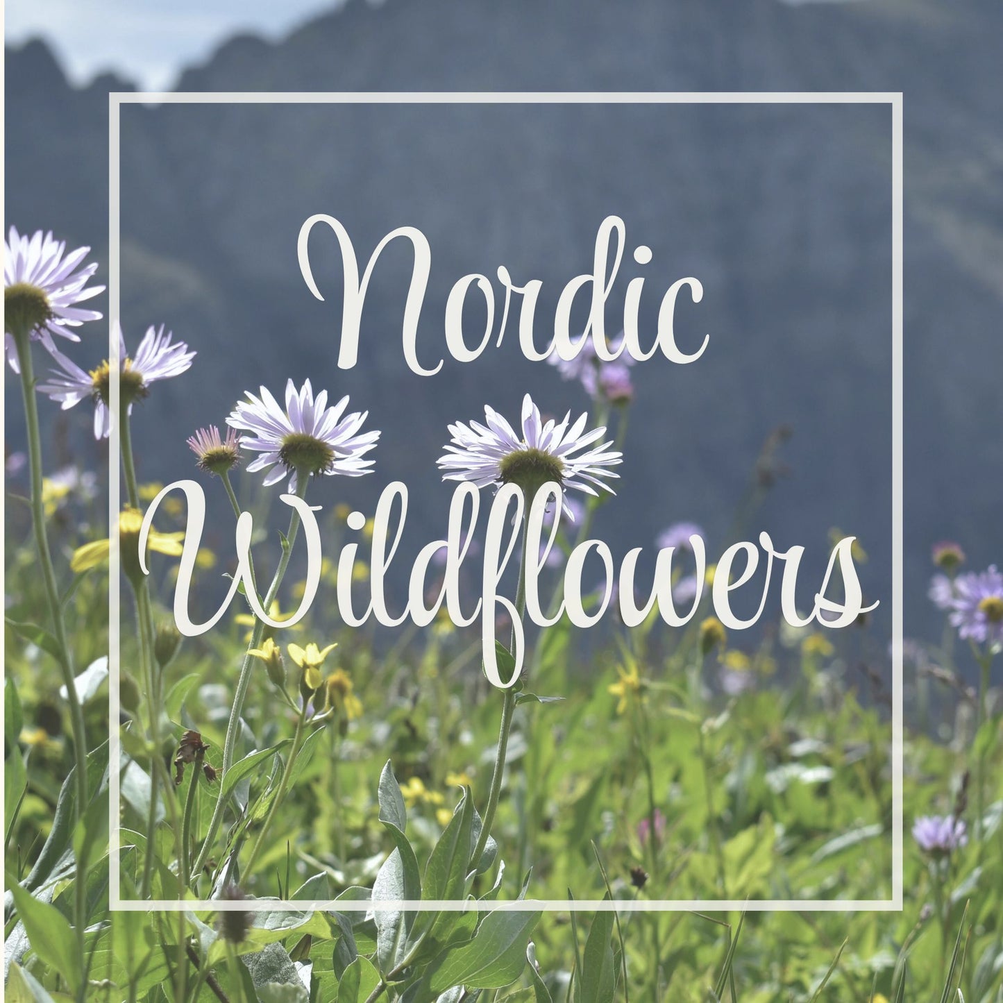 Nordic Wildflowers
