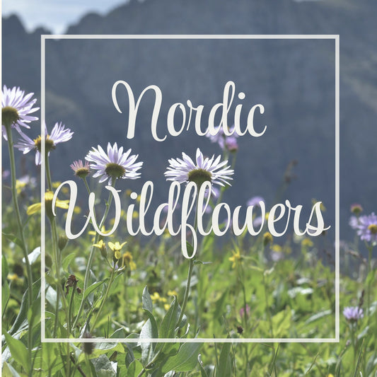 Nordic Wildflowers
