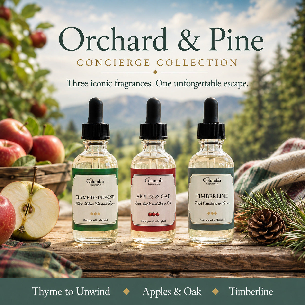 The September Concierge Collection - Orchard & Pine