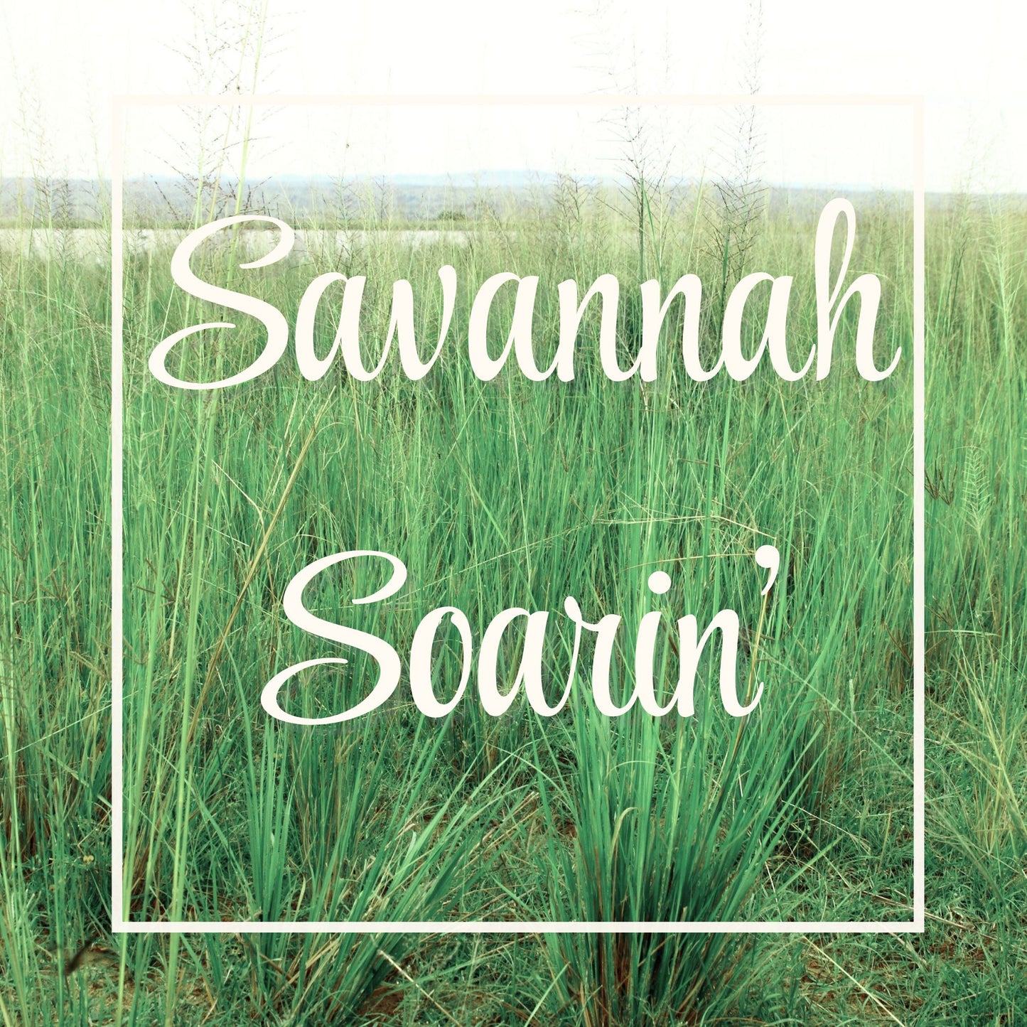Savannah Soarin'
