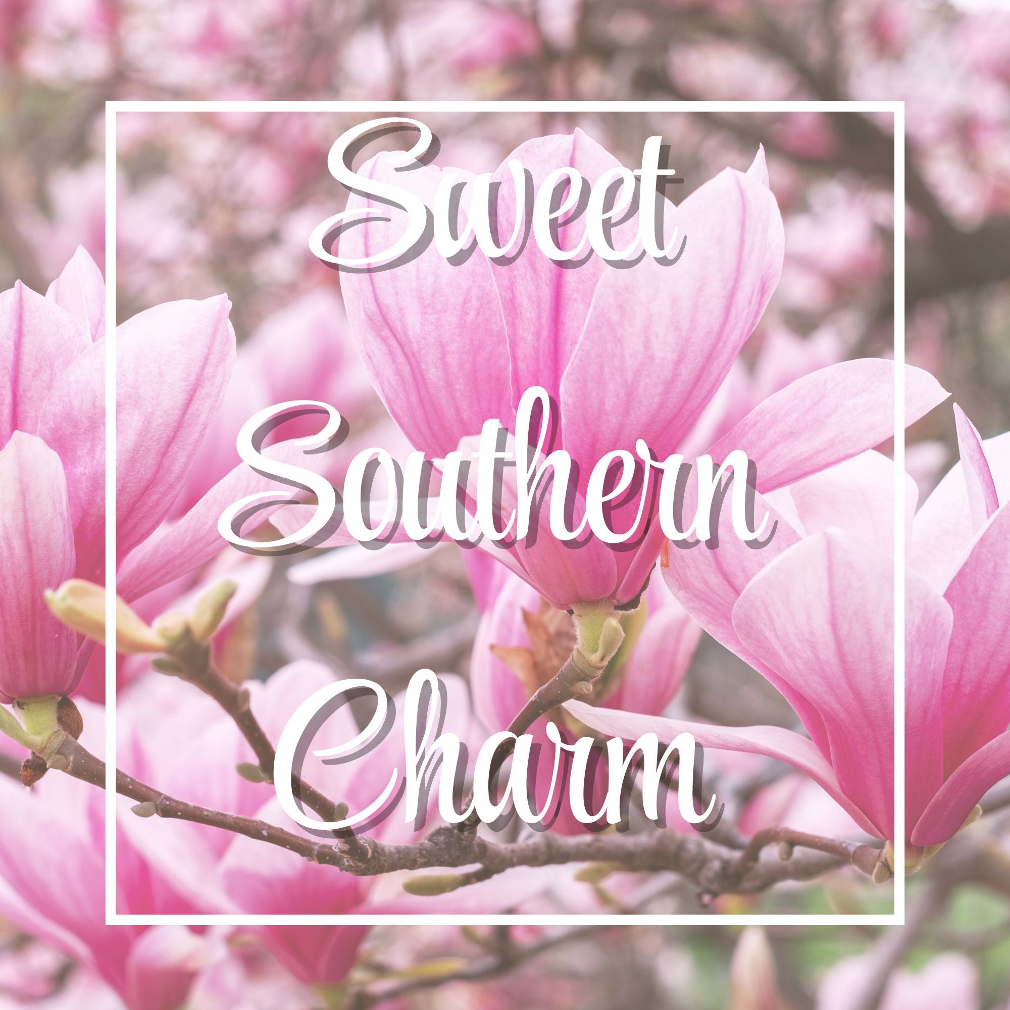 Sweet Southern Charm | The Columbia Fragrance Co.