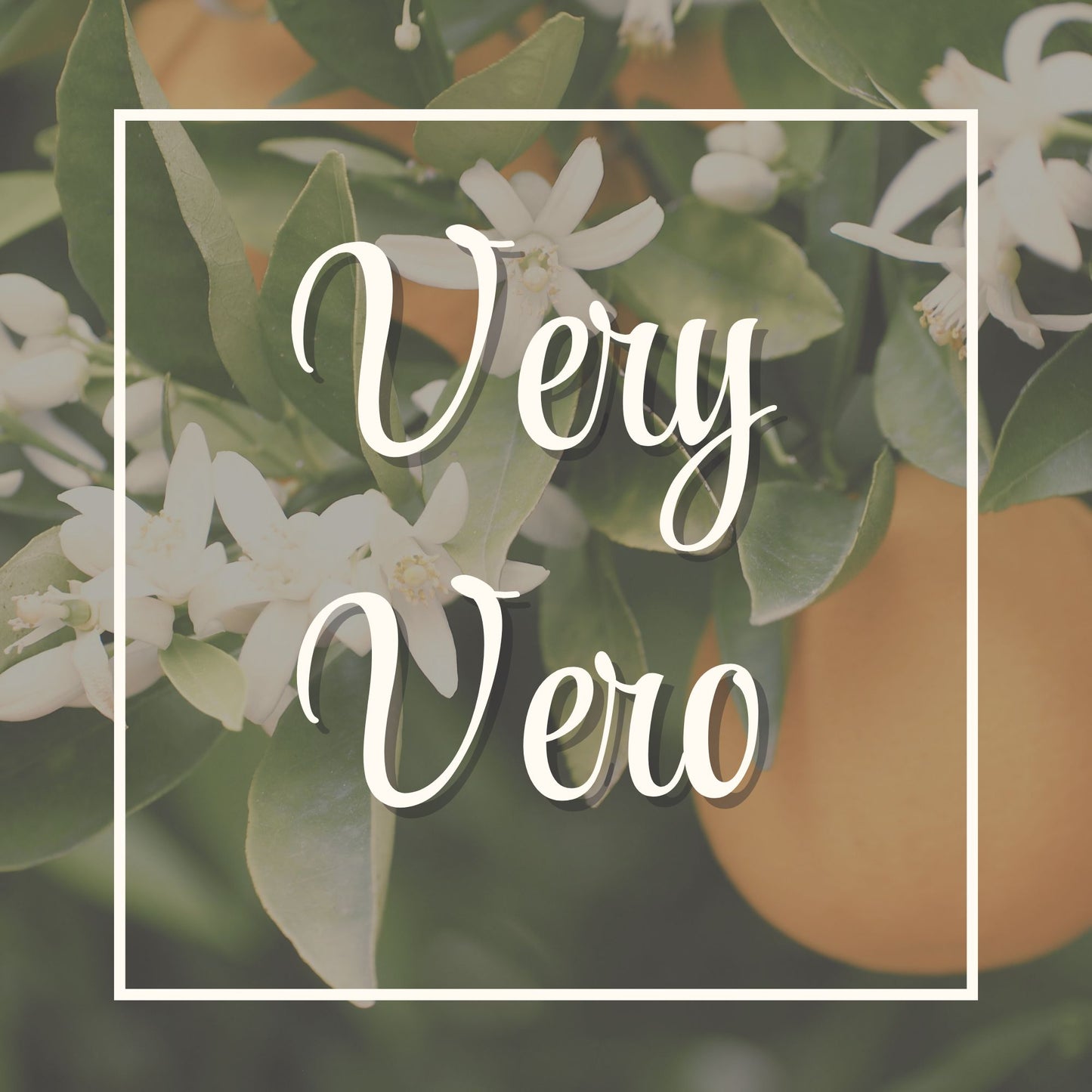 Very Vero